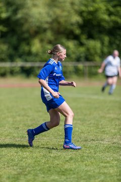 Bild 262 - wBJ VfL Pinneberg - Harksheide : Ergebnis: 2:1
